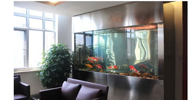 公司办公室如何放鱼缸 办公室进门见鱼缸好不好-第2张图片