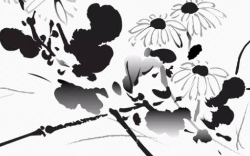 女孩取名:2020年11月1号出生的女孩参考四书五经取名字-第2张图片 女孩取名:2020年11月1号出生的女孩参考四书五经取名字-第2张图片