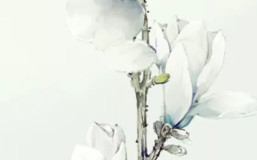 2020年6月19号闰四月二十八出生的女孩命好吗,如何取名字-第2张图片 2020年6月19号闰四月二十八出生的女孩命好吗,如何取名字-第2张图片