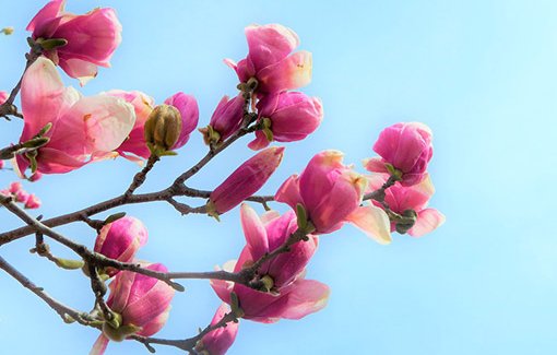 2021年2月28日农历正月十七出生的男孩有寓意的名字怎么取-第1张图片 2021年2月28日农历正月十七出生的男孩有寓意的名字怎么取-第1张图片