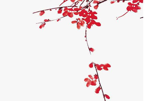 女孩带菊字的名字推荐,用菊字取名的寓意-第1张图片 女孩带菊字的名字推荐,用菊字取名的寓意-第1张图片