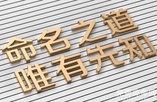 科技公司起名必须新颖明了，才能给顾客留下好的印象-第2张图片