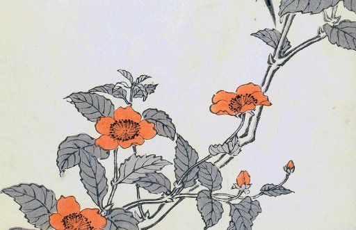 2021年8月4日农历六月二十六出生的男孩取什么名字好听-第2张图片