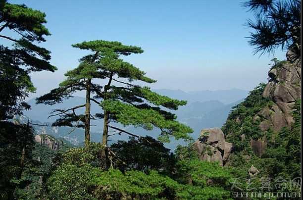 怎样根据植物名字给宝宝命名,可以根据花卉的名字给宝宝起名-第2张图片 怎样根据植物名字给宝宝命名,可以根据花卉的名字给宝宝起名-第2张图片