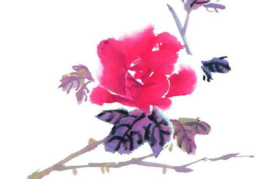 女孩叫菊好吗,最后一个字是菊的名字