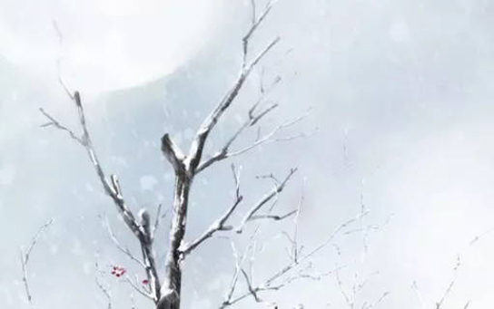 2020年8月26号七月初八生的男宝宝命运好吗,如何八字起名-第1张图片 2020年8月26号七月初八生的男宝宝命运好吗,如何八字起名-第1张图片