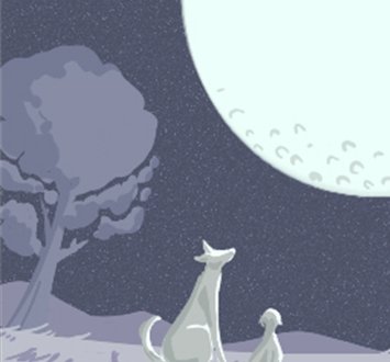 这些生肖中年以后会更加的辛酸