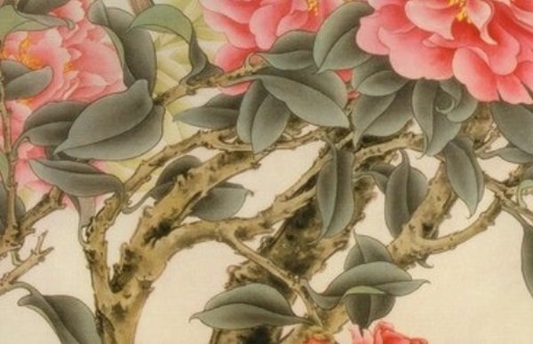 男孩取名带鹏字的寓意,鹏字100分名字-第1张图片
