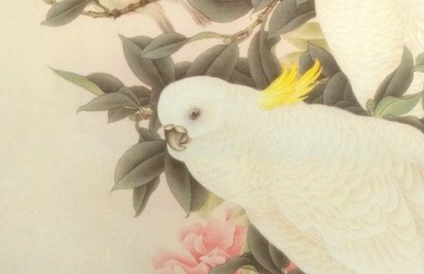 含鹏字起什么名字好,带鹏有涵养名字-第1张图片