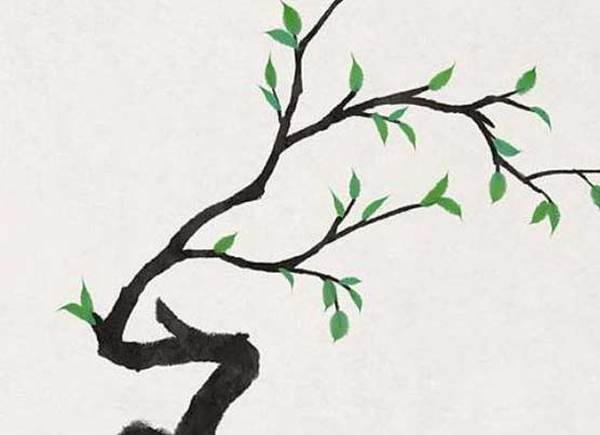取名网:2021年11月5日出生的女孩名字精选,智慧有涵养-第2张图片