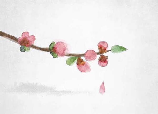 2021年11月10日出生的女孩名字怎么起,独特稀少-第1张图片