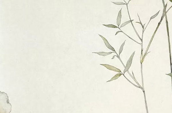 名字中带婷字的含义,婷字取女孩子名字-第1张图片