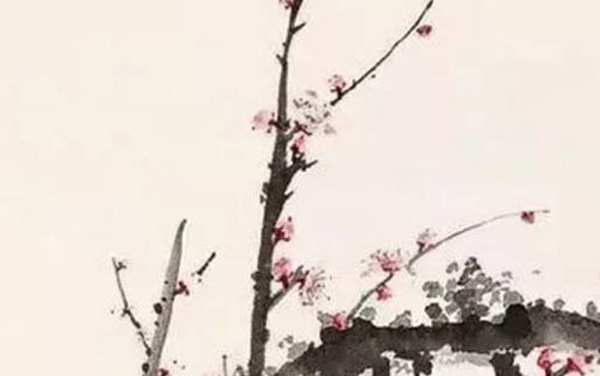 中间带妃的女孩名字,妃字女孩起名大全-第1张图片