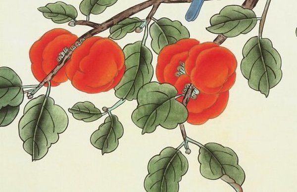 2021年12月30日农历十一月二十七出生的女孩起好听脱俗的名字-第2张图片