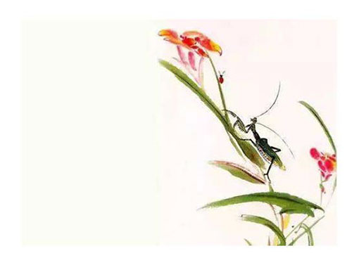适合软件公司的名字大全,如何给软件公司起名-第2张图片