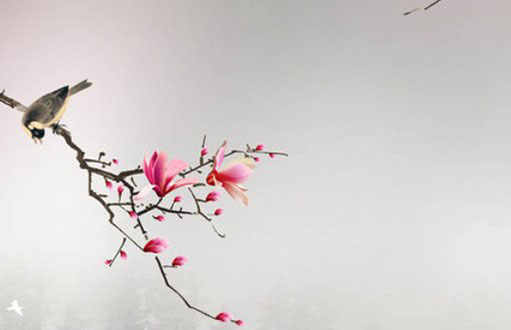 牛年赖姓女孩起名,女孩寓意美好名字推荐-第2张图片