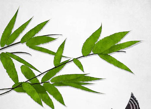 设计公司起名精选,有特点的公司名字