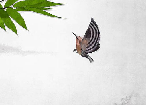 设计公司起名精选,有特点的公司名字-第2张图片