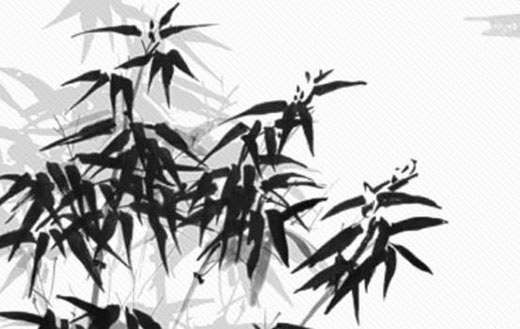男宝宝取什么名字好,注意起名字音、字型-第2张图片