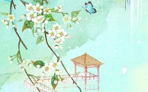 女孩叫卉好吗,最后一个字是卉的名字-第2张图片