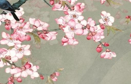 牛年吴姓女孩起名吴芷轩,有特点好寓意名字-第2张图片