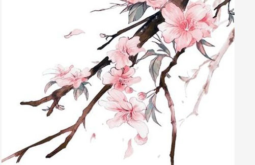 辛丑年孩子起名宜用什么字,带“艹”字头的名字介绍-第2张图片