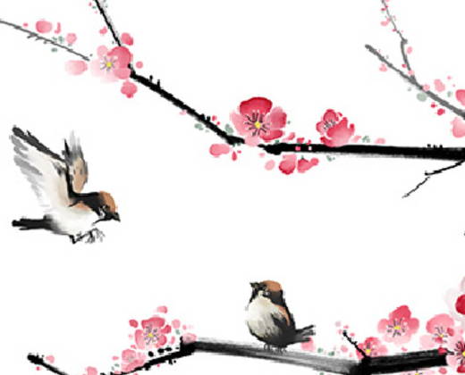 女孩叫花好吗,最后一个字是花的名字-第2张图片