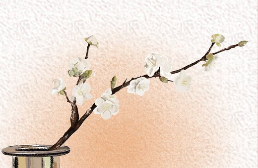 女孩取名带芹字,芹字配什么做名字好-第2张图片