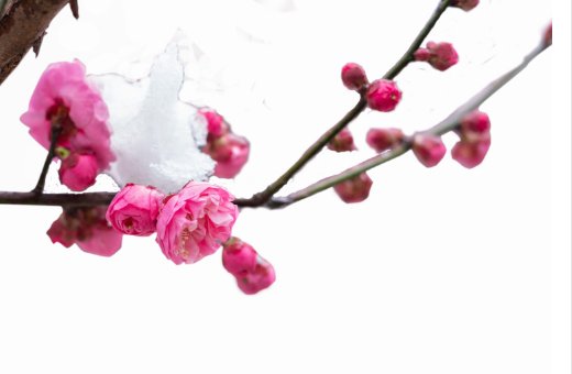 女孩叫慧好吗,最后一个字是慧的名字-第1张图片