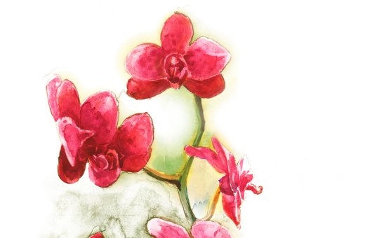 有意义的公司名称,吉祥公司名字大全-第1张图片