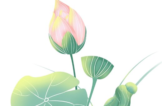 牛年给孩子起名大全,牛宝宝取名宜用字-第2张图片