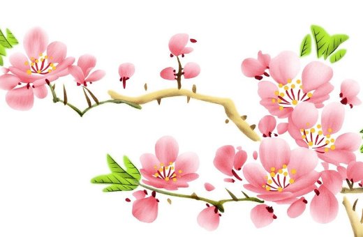 女孩取名带亚字,亚字搭配什么字寓意好-第2张图片