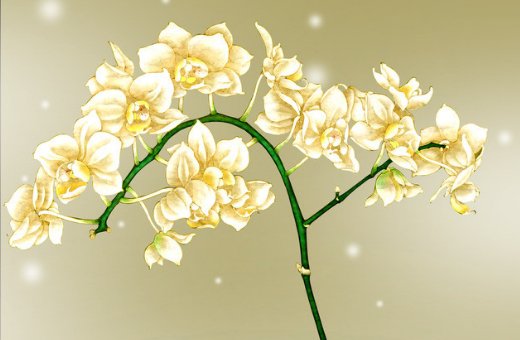牛年男孩如何起名,100分男宝宝名字大全-第1张图片