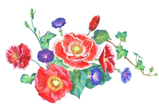 牛年宝宝起名字,2021年好听的名字大全-第2张图片