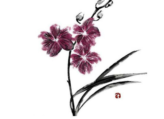 牛女孩子起名大全,,小名推荐-第2张图片