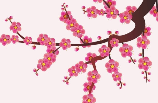 2021年6月份出生的宝宝取名,小孩100分名字-第2张图片