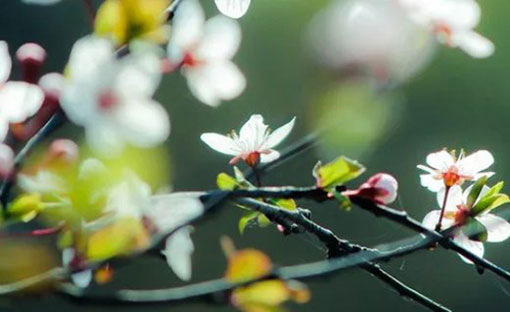 寓意好的公司名字有哪些,财运极佳的公司名-第1张图片