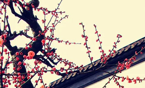 顺口公司名字大全,简约时尚的公司起名-第2张图片
