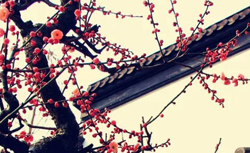 顺口公司名字大全,简约时尚的公司起名-第1张图片