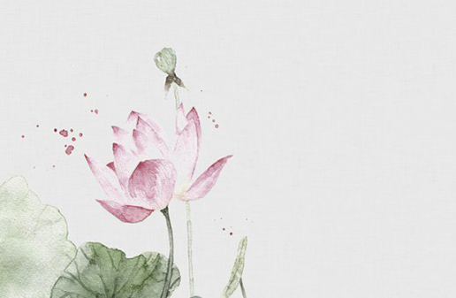 牛年伍姓宝宝名字大全,伍姓女孩如何取名-第2张图片