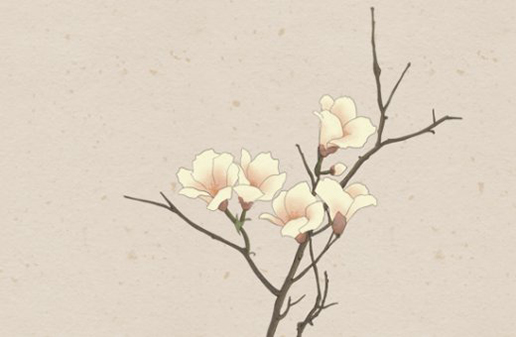 牛年云姓女孩起名,有诗意的云姓女宝宝名字-第2张图片