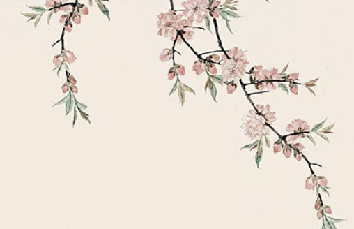 适合文化公司的名称,具体名称带解析 适合文化公司的名称,具体名称带解析