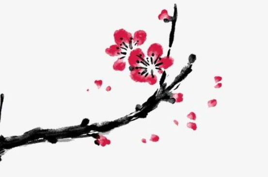 2020年3月3号出生的男孩怎么取名字,五行属什么-第1张图片 2020年3月3号出生的男孩怎么取名字,五行属什么-第1张图片