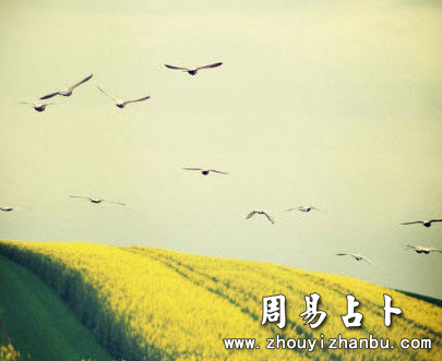 做什么梦最吉利-第1张图片 做什么梦最吉利-第1张图片