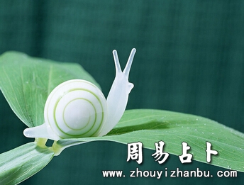 梦见蜗牛象征着什么