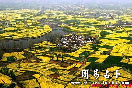梦见捞鱼什么意思-第1张图片