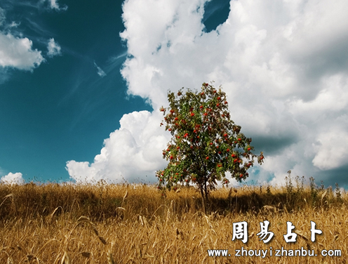 做梦梦到游泳是什么意思-第1张图片