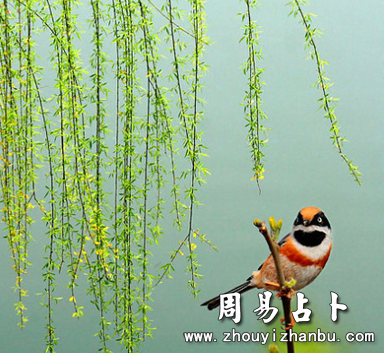 做梦梦见下大雨有着什么意思