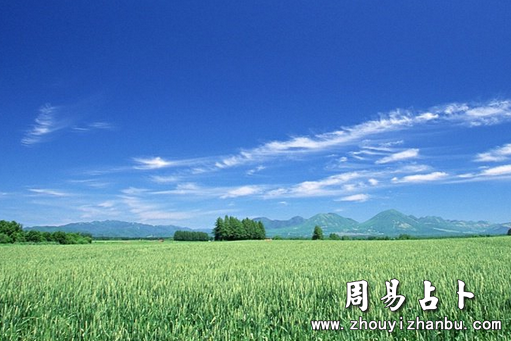 梦见葡萄是什么意思-第1张图片