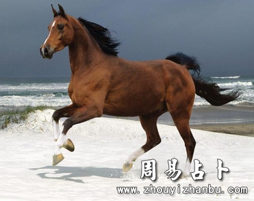 梦见马是什么意思？